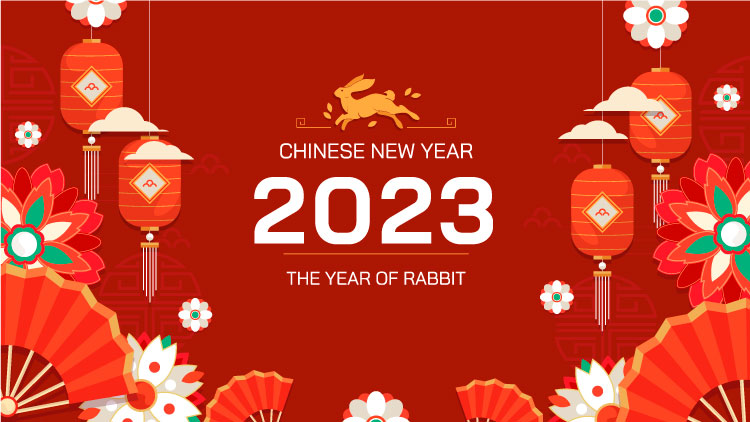 Chinese New Year Rabbit 2023